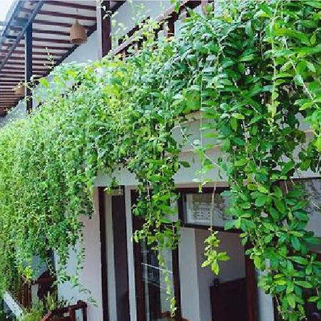 Riverside Plum Garden Villa Hoi An Exteriér fotografie