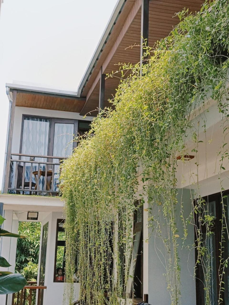 Riverside Plum Garden Villa Hoi An Exteriér fotografie
